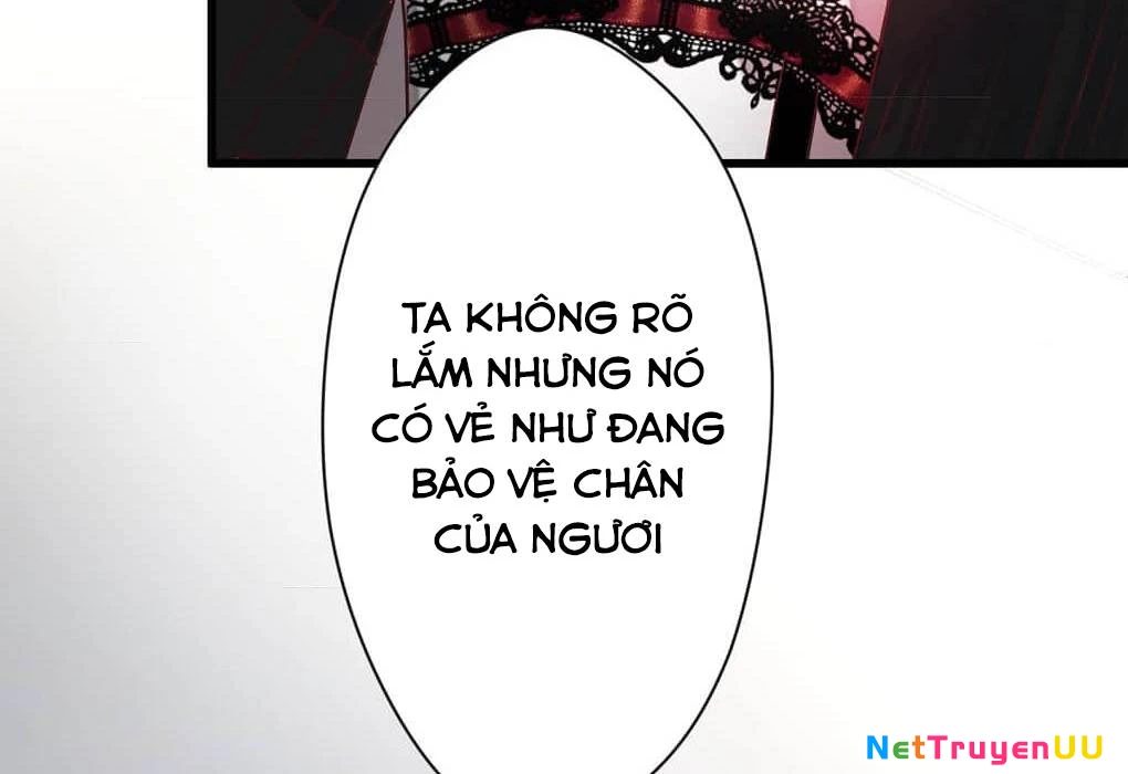 trở thành chị kế của lọ lem báo thù Chapter 3 - Trang 2